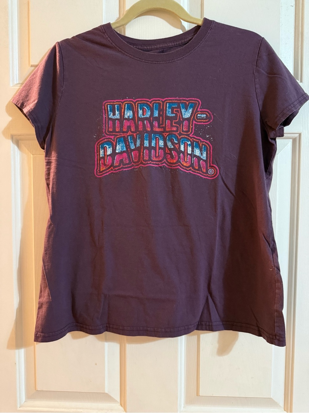 Harley-Davidson Purple Logo Tee